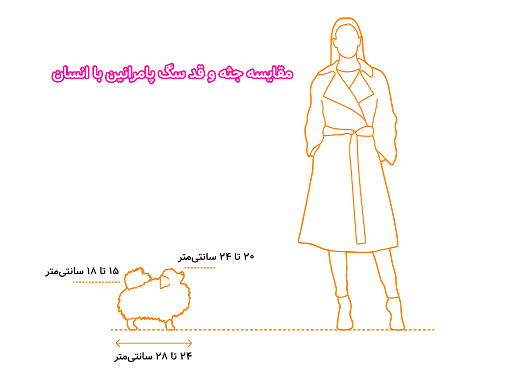 مقایسه انسان و سگ پامرین