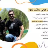 دوره تربیت سگ رویایی پت پرس (پکیج کامل تربیت سگ سال 1403)