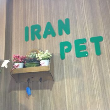 کلینیک دامپزشکی ایران پت