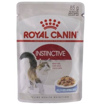پوچ گربه رویال کنین مدل Instinctive وزن 85 گرم