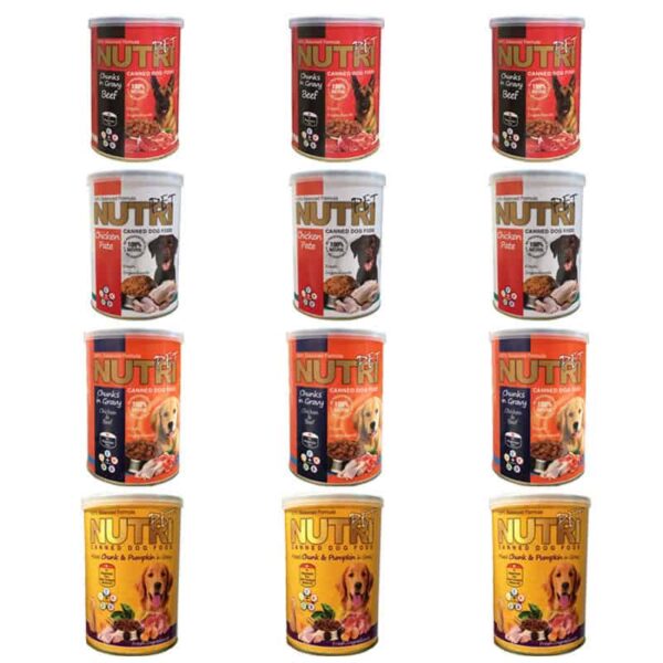 کنسرو غذای سگ نوتری پت مدل Pack12 وزن 425 گرم بسته 12 عددی