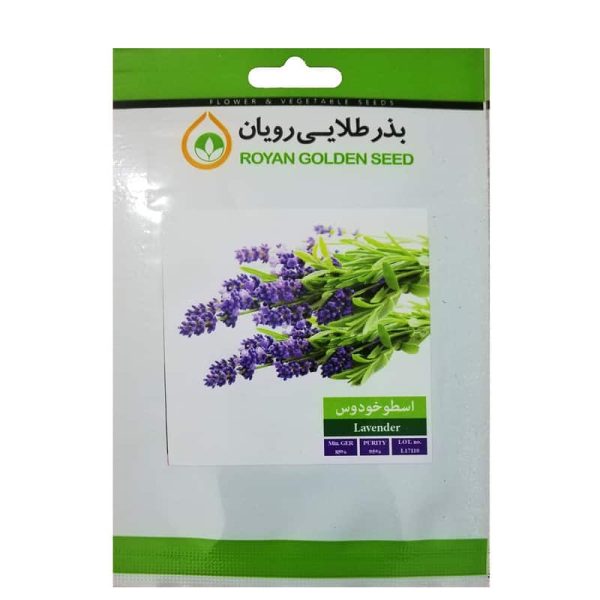 بذر گیاه دارویی اسطوخودوس بذر طلایی رویان