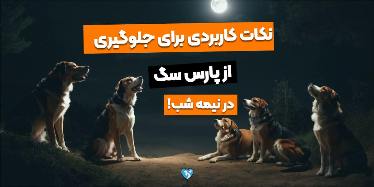 ۵ نکته کاربردی برای جلوگیری از پارس سگ در شب!