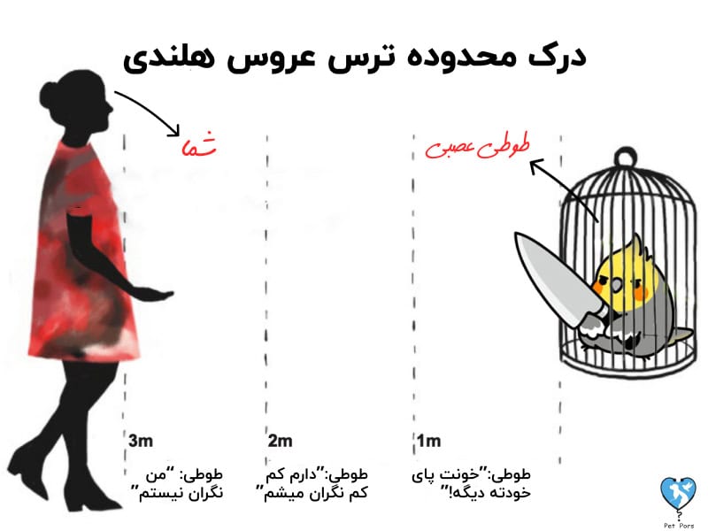 فاصله ایمن برای دستی کردن عروس هلندی ترسیده